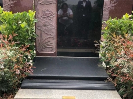 案例展示